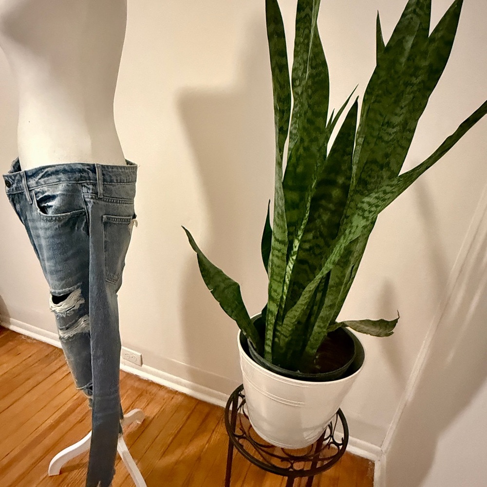 Hidden | Distressed Boyfriend Jeans - Picture 2 of 10